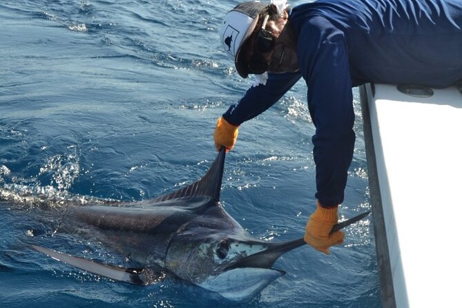 Fishing Charter In Tamarindo With Food & Beverages - Overview of the Fishing Charter