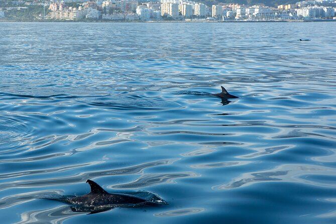 Fishing Trip Costa Del Sol 2 Hours - Good To Know