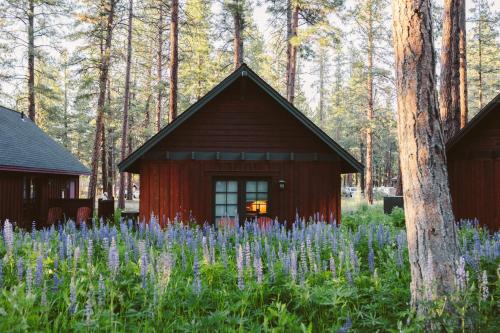 FivePine Lodge - Overview of FivePine Lodge