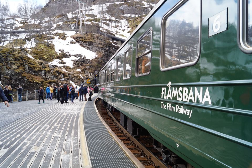 Fjords: Private Trip With Train and Cruise Ride - Good To Know