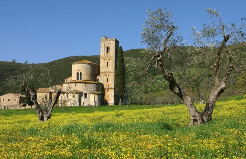 Florence: Val D'Orcia, Montalcino, Pienza With Lunch & Wine - Key Points
