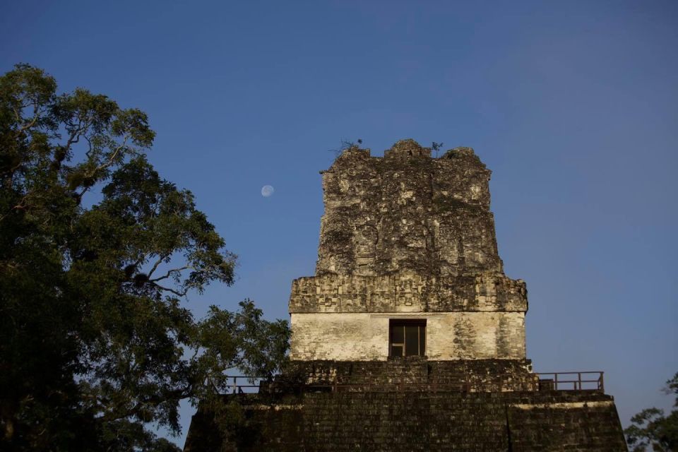 Flores: 1-Day Tikal Tour Private Service From Your Hotel - Key Points