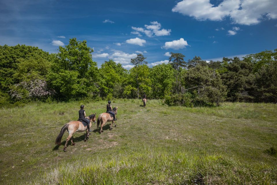 Fontainebleau: Horse-riding, Gastronomy & Château - Key Points