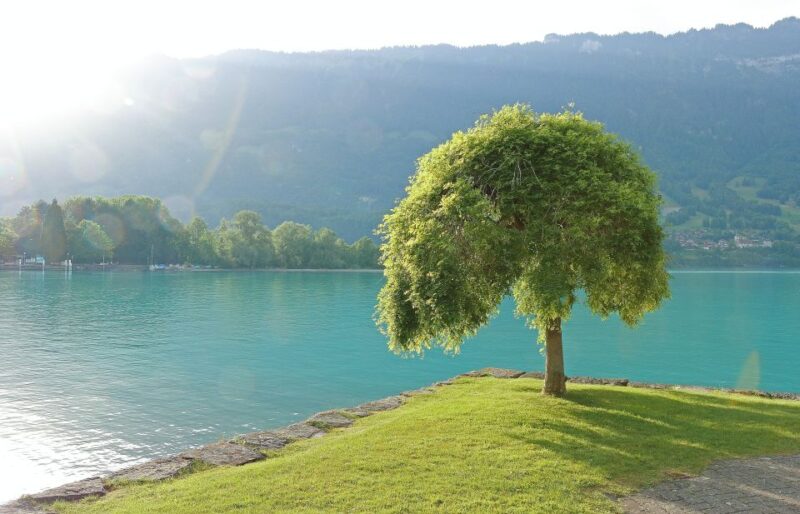 Free-Day in Interlaken Village From Lausanne - Good To Know