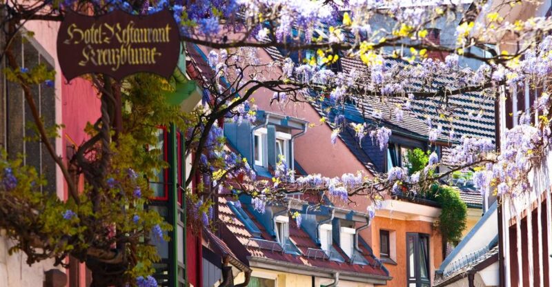 Freiburg: Alleys, Streams and More City Tour - Key Points