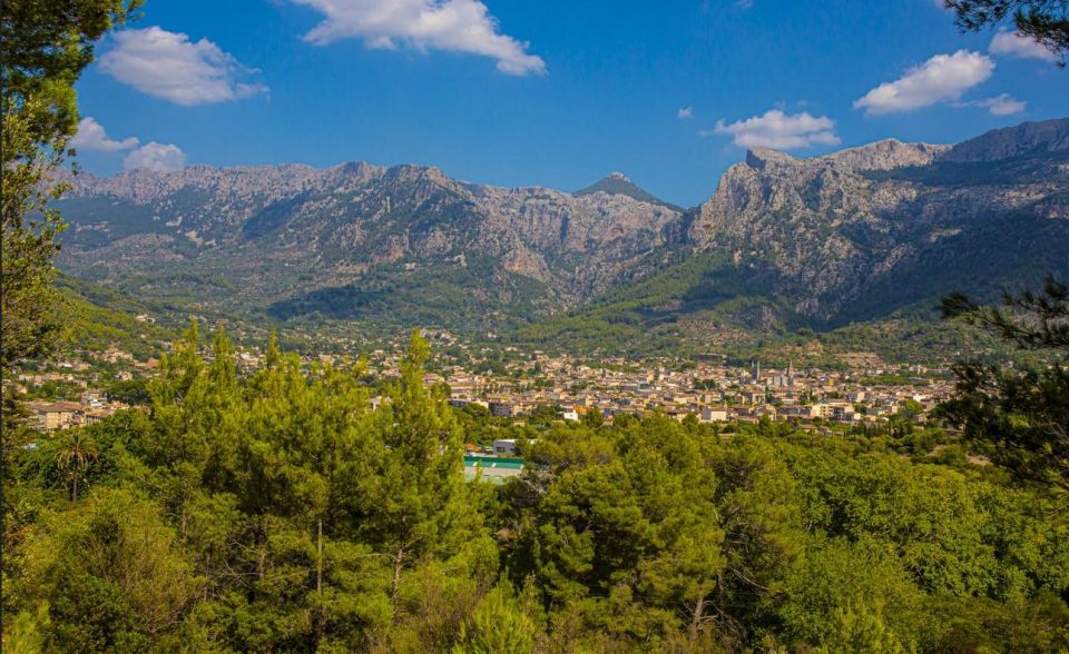 From Alcúdia: Soller Train and Tram Half Day Tour - Key Points