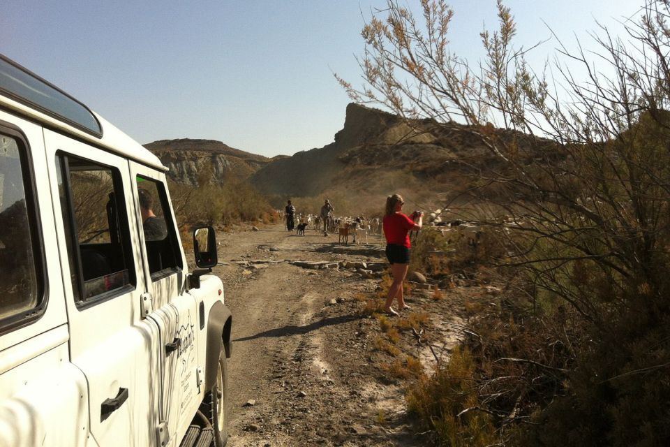 From Almeria: Tabernas Desert 4WD Joyriding Tour - Key Points