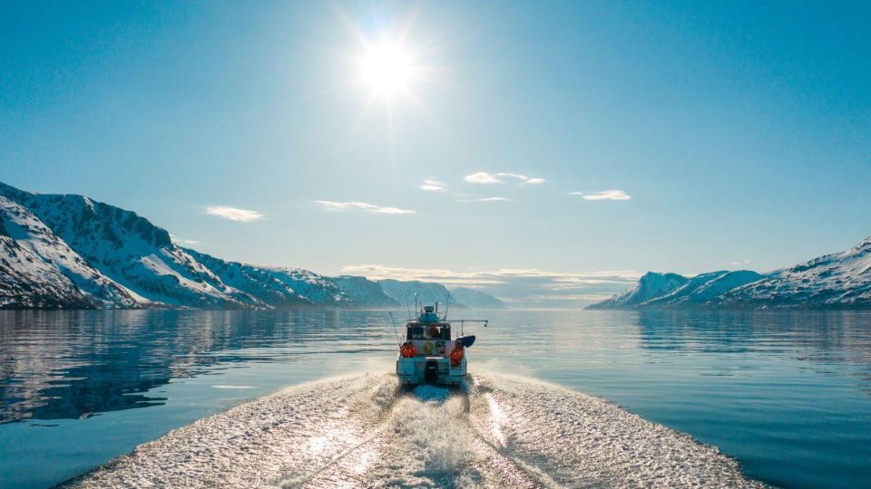 From Alta: Adventure Cruise in Alta Fjord - Good To Know