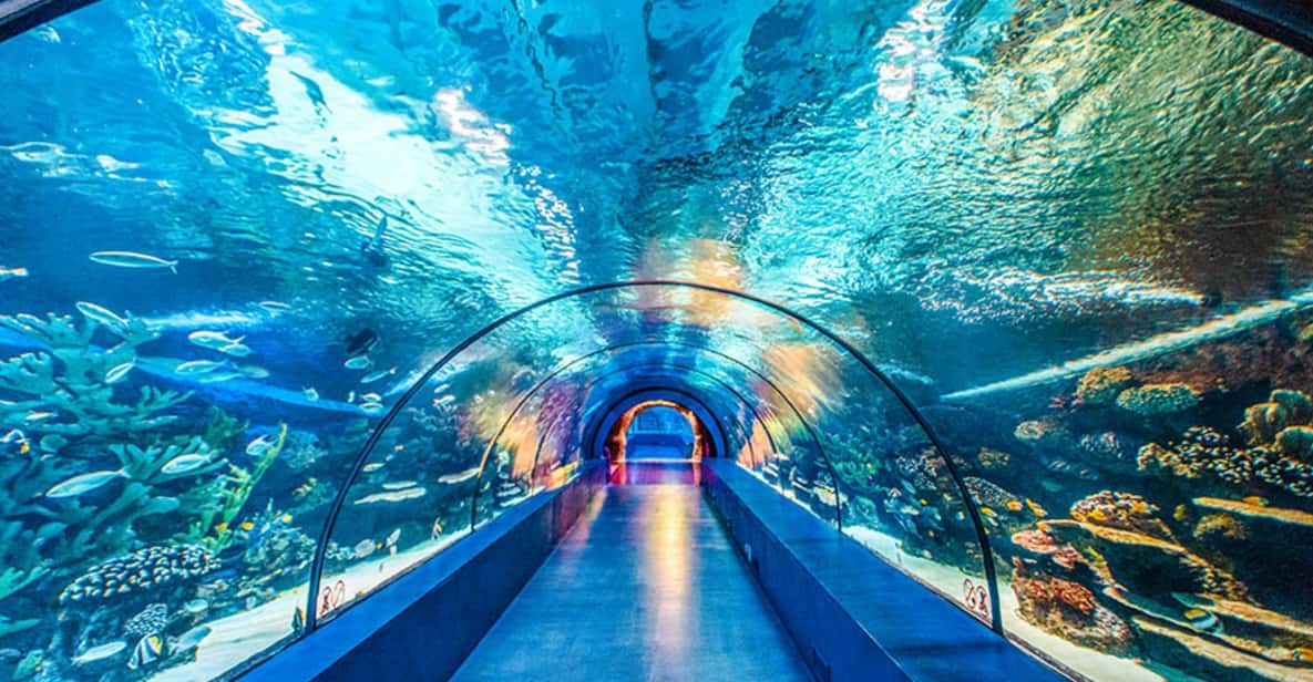 From Antalya All Region: Antalya Aquarium With Transfer - Key Points