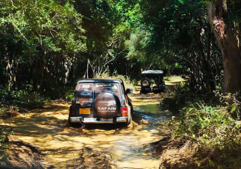 From Anuradhapura: Full-Day Wilpattu National Park Safari - Good To Know