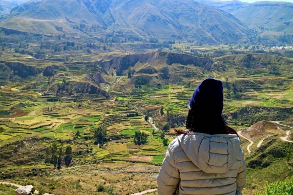 From Arequipa: Full-Day to Colca Canyon - Key Points