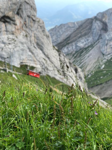 From Basel: Mt. Pilatus and Lake Lucerne Private Tour - Good To Know