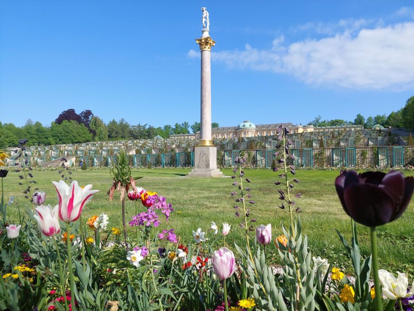 From Berlin: Potsdam Half-Day Guided Tour - Key Points