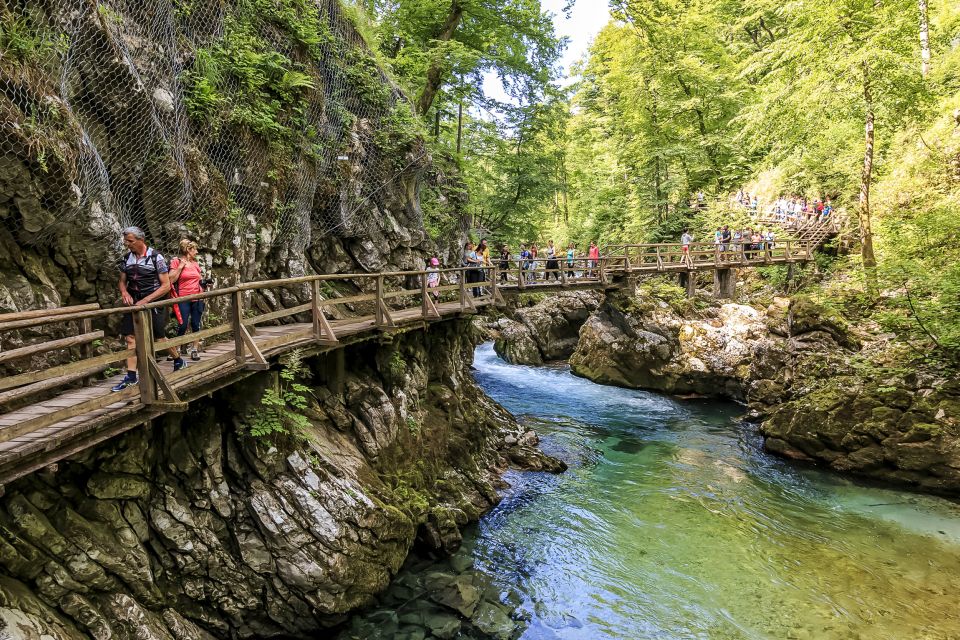 From Bled: Self-Guided E-Bike Tour to Vintgar Gorge - Key Points