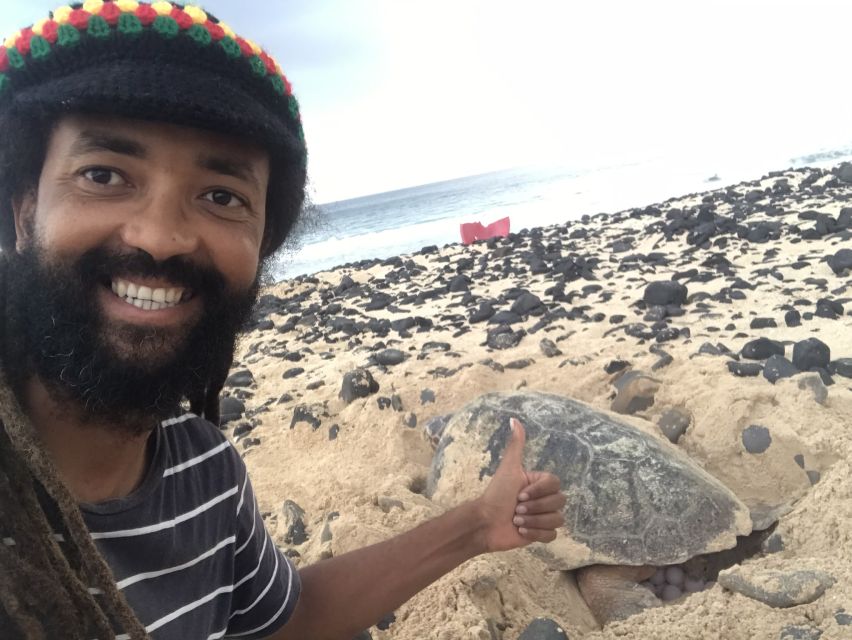 From Boa Vista: Turtle Watching and Nesting Evening Tour - Tour Itinerary and Logistics