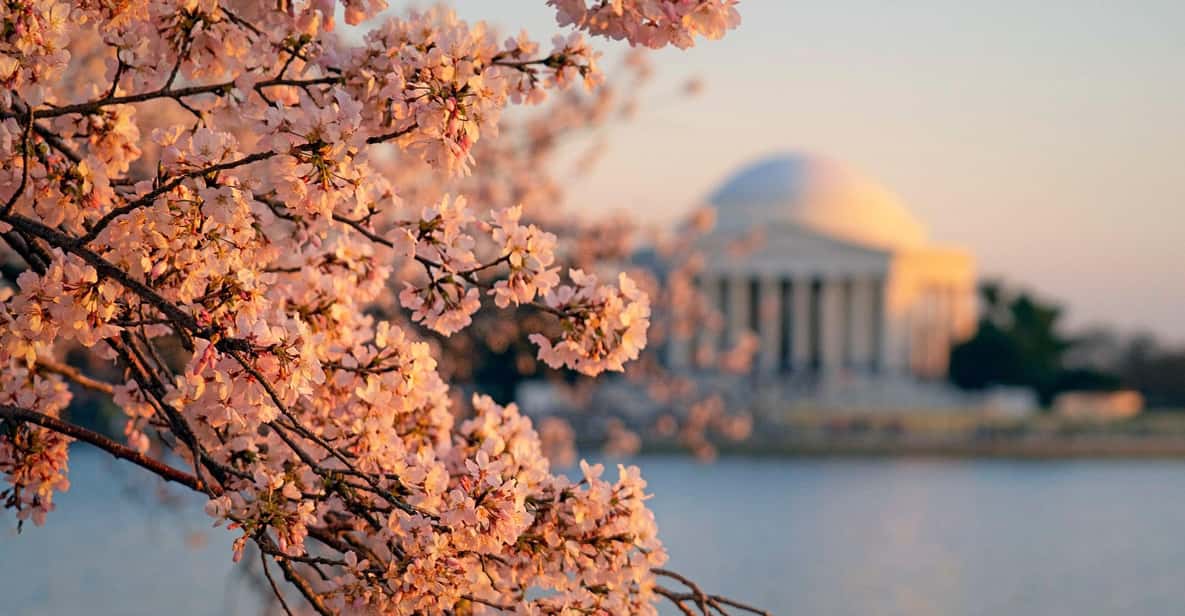 From Boston: 4-Day Tour to New York, D.C.&Niagara Falls - Key Points