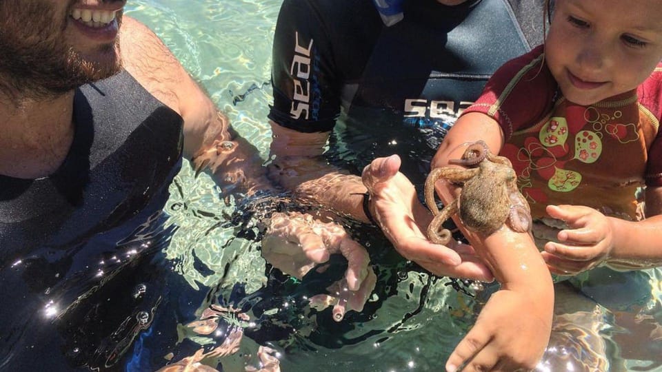 From Cala Gonone: Snorkeling in the Orosei Gulf - Key Points