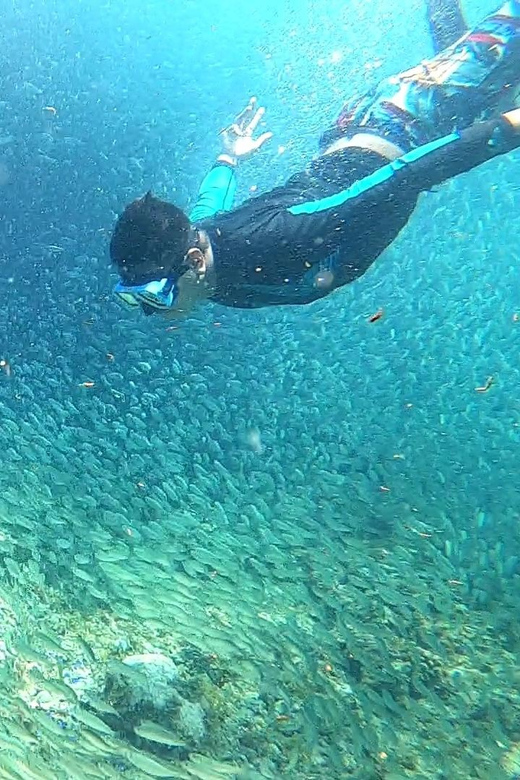 From Cebu City: Moalboal Pescador Snorkeling Tour + Lunch - Key Points