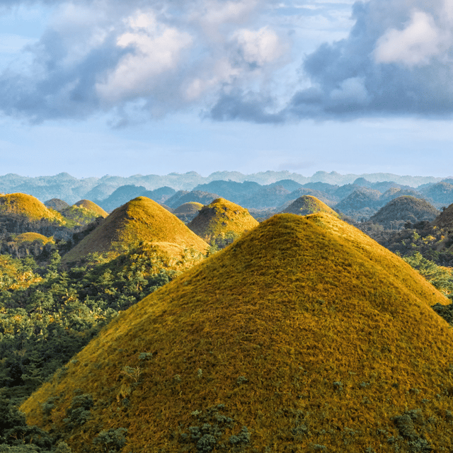 From Cebu:Chocolate Hills & Tarsier W Lunch at Loboc Joiners - Chocolate Hills Exploration