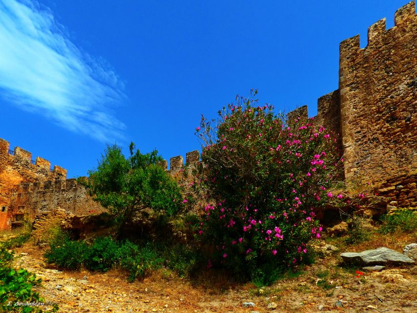 From Chania: Sfakia, Frangokastelo and Vrysses With Snacks - Key Points