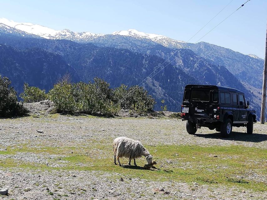 From Chania: White Mountains Land Rover Safari - Key Points