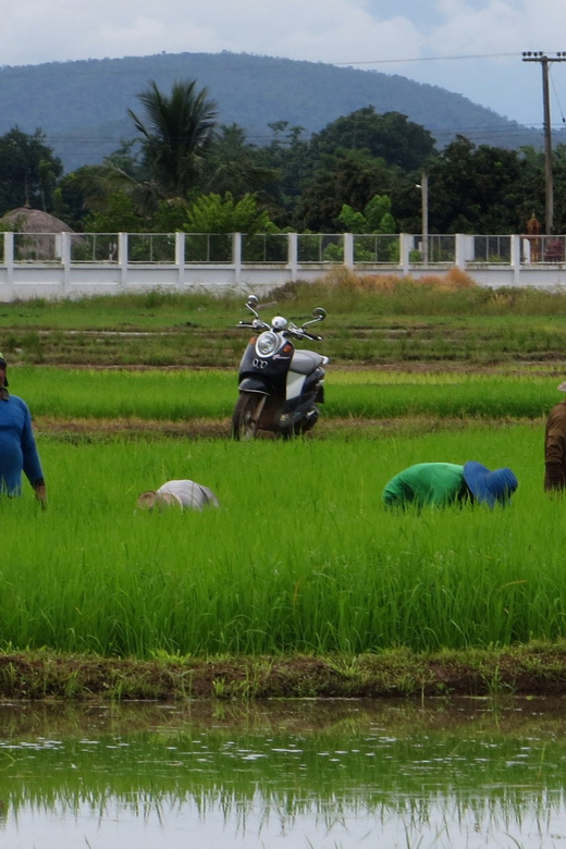 From Chiang Mai: Mae Taeng Valley Hike & Bike Day Trip - Key Points