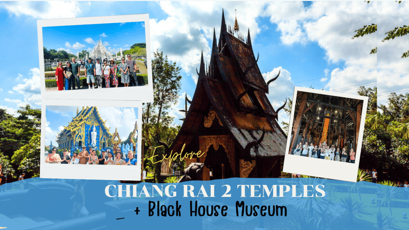 From Chiangmai: Chiang Rai 2 Temples +Black House Museum - Destination and Price