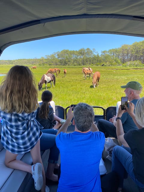 From Chincoteague: Pony and Wildlife Boat Tour - Key Points