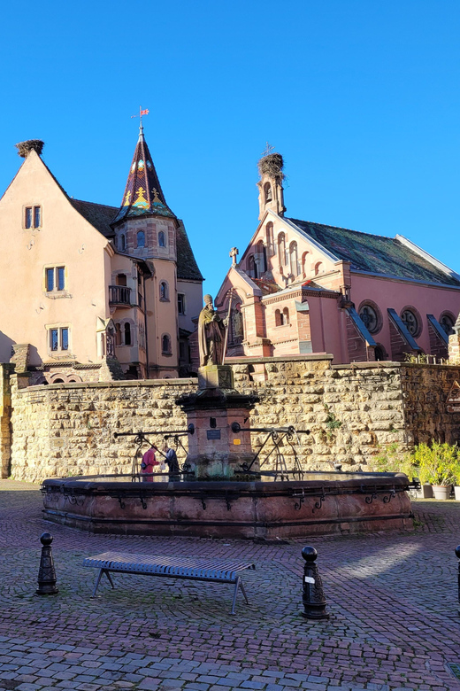 From Colmar: Alsace Wine Route Tour Half Day - Good To Know