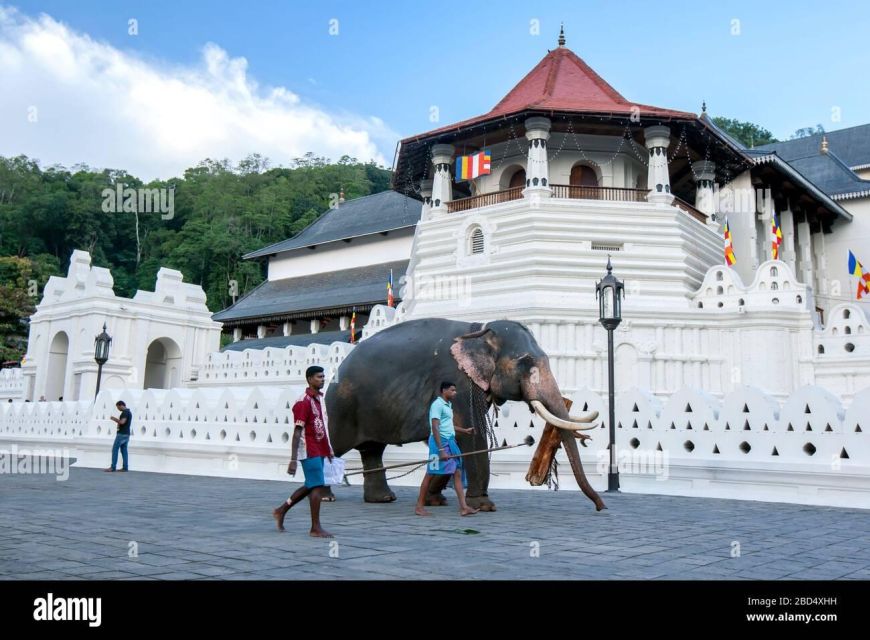 From Colombo: Kandy, Pinnawala and Tea Factory Full-Day Trip - Good To Know