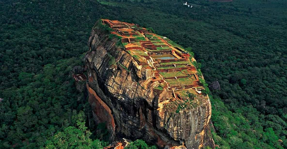 From Colombo: Sigiriya / Dambulla & Safari Day Tour - Good To Know