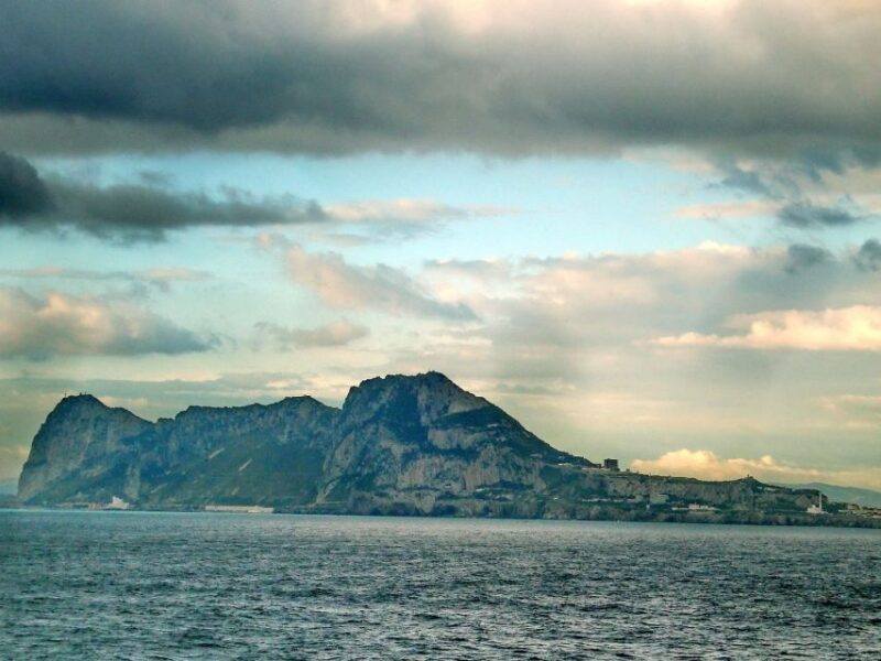 From Costa Del Sol: Gibraltar Dolphin Watching by Boat - Key Points
