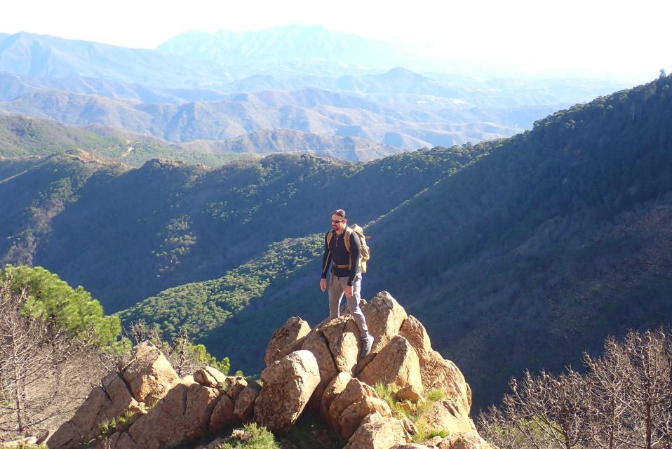 From Costa Del Sol: Sierra Bermeja Private Hiking Tour - Key Points