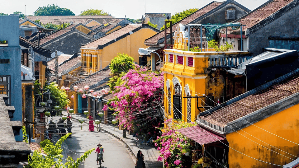 From Da Nang: Bay Mau Coconut Forest and Hoi an Tour - Tour Overview and Pricing