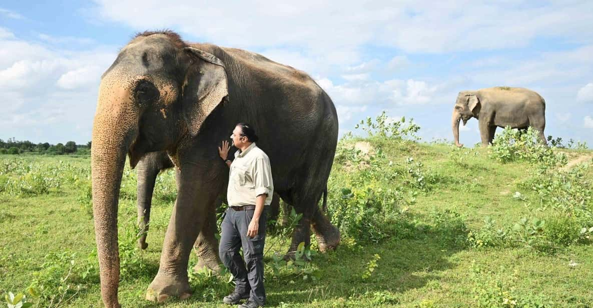 From Delhi: 3 Day Golden Triangle W/ Elephant Conservation - Good To Know