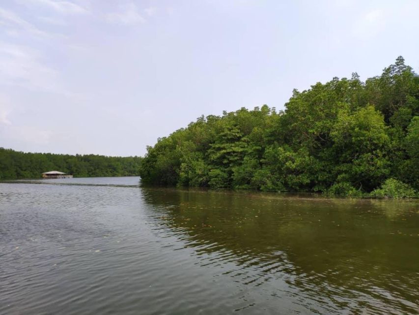 From Desaru Coast: Sungai Lebam River Cruise With Pickup - Key Points