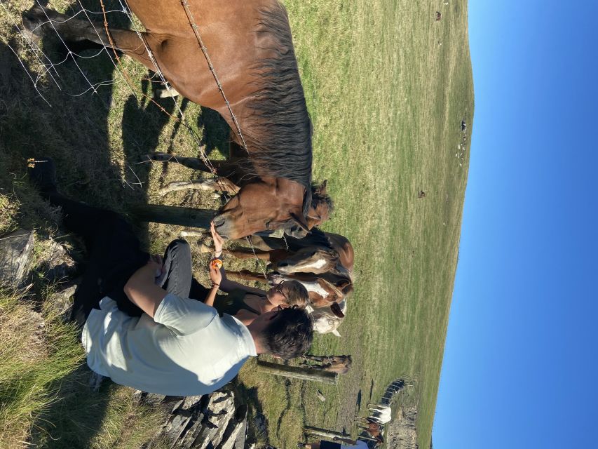 From Doolin: Cliffs of Moher Guided Coastal Walk - Good To Know