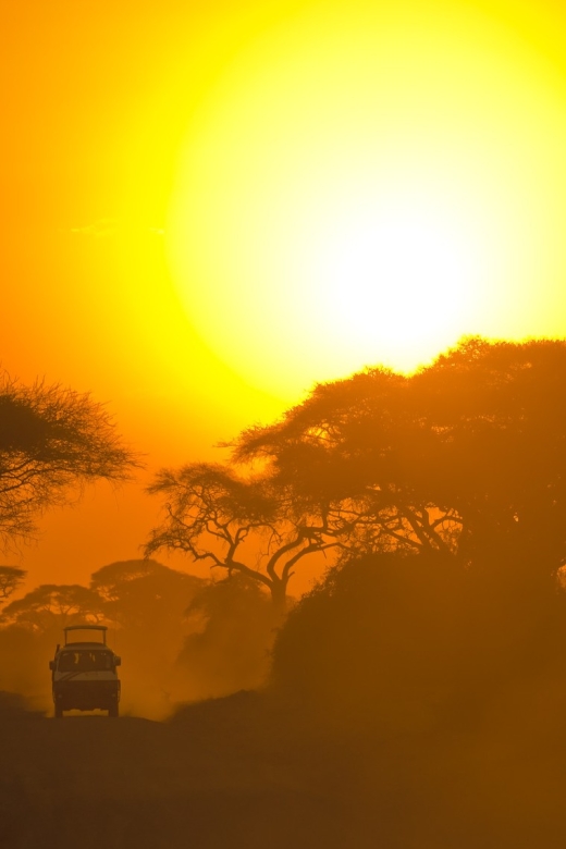 From Ella: Yala National Park Safari Tour in a 4x4 - Good To Know