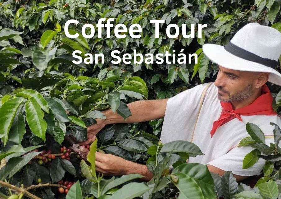 From Farm to Cup: The Ultimate Coffee Tour - Key Points