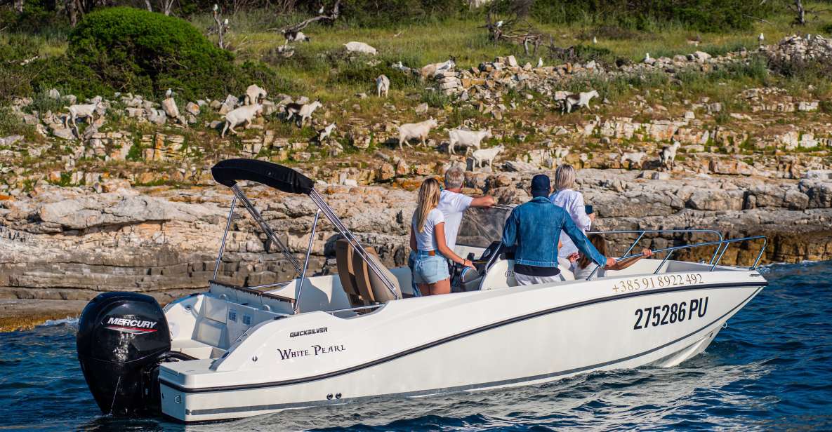 From Fažana: Private Boat Tour of Brijuni Islands - Good To Know