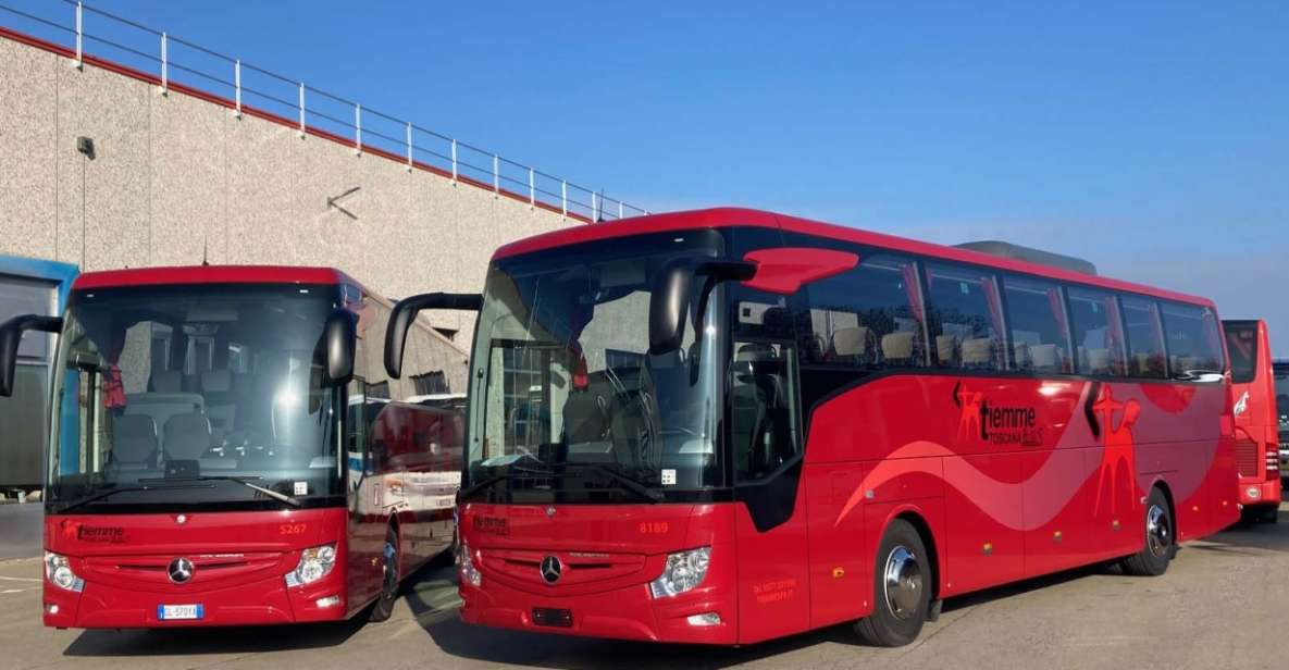 From Fiumicino Airport: 1-Way Bus Transfer to Paganico - Key Points