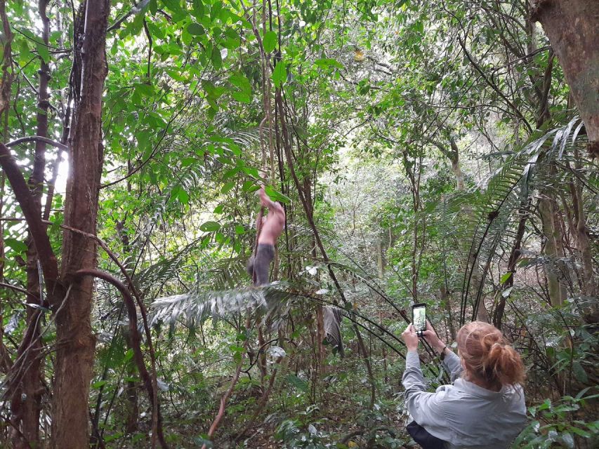 From Ha Noi: Cuc Phuong National Park Full Day Small Group - Key Points