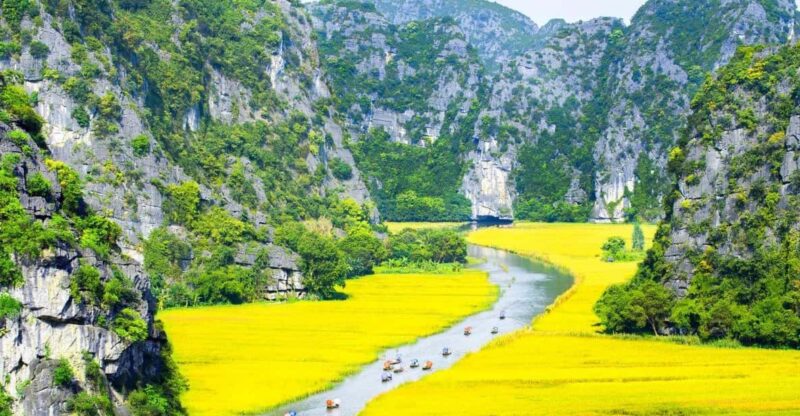 From Hanoi: 1D Group Tour to Visit Ninh Binh - Lunch & Bus - Key Points
