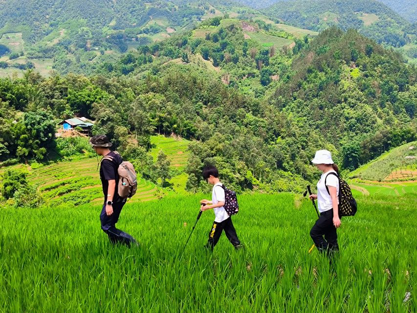 From Hanoi: 2-Day Sapa Trekking Tour With Limousine Transfer - Key Points