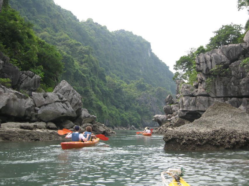 From Hanoi: Bai Tu Long 2-Day 1-Night All-Inclusive Cruise - Key Points