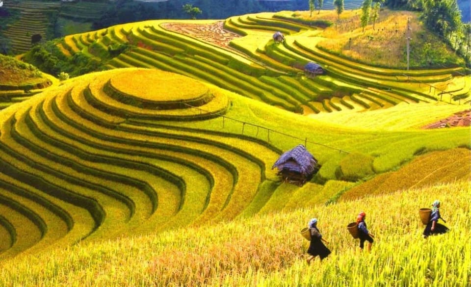 From Hanoi: Explore Sapa In 3 Days 2 Nights - Key Points