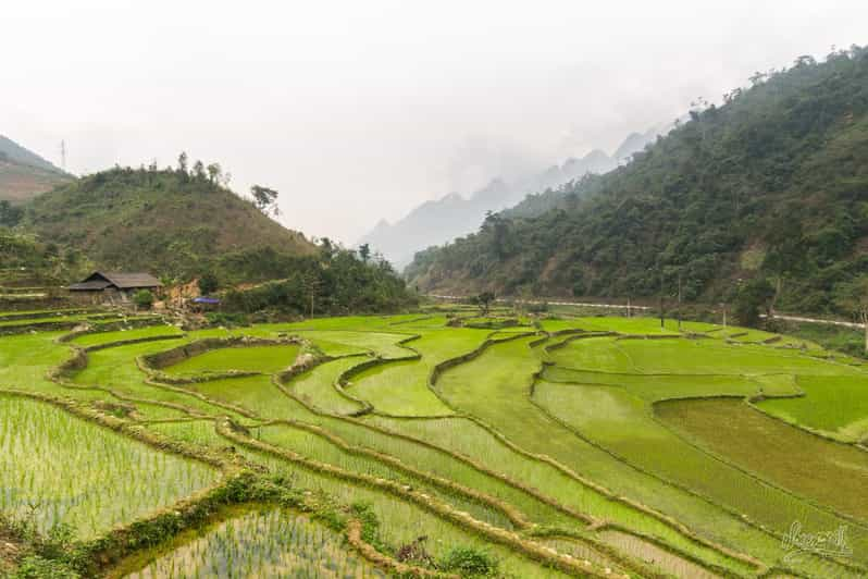 From Hanoi: Ha Giang Motorbike Tour 3 Days With Local Rider - Key Points