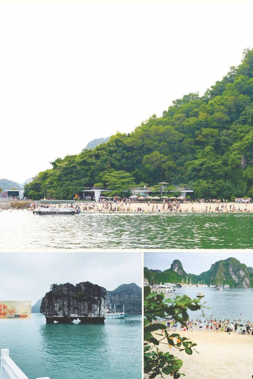 From Hanoi: Ha Long Bay 1 Day Charter Full Cruise Private - Key Points