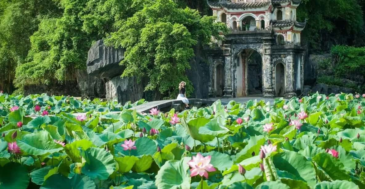 From Hanoi: Hoa Lu / Bai Dinh & Bich Dong & Thung Nham - Key Points