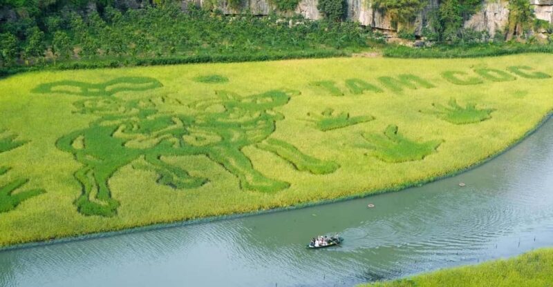 From Hanoi: Ninh Binh & Cuc Phuong National Park In 2 Days - Key Points